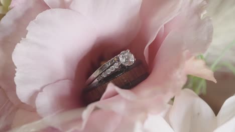 Closeup,-beautiful-diamond-engagement-marriage-ring-inside-pink-flower-petals