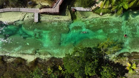 Tourists-floating-in-the-Rapidos-de-Bacalar,-in-Mexico---cenital,-aerial-view