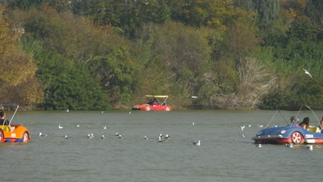 Families-with-small-children-on-pedal-boats-and-seagulls-floating-in-the-lake-of-Tel-Aviv's-Yarkon-Park-#011