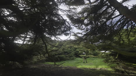 Blond-female-photographer-exploring-magical-Macrocarpa-trees-of-Waipapa-point