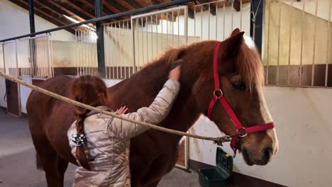 Indoor-stable-scene-of-cute-little-young-red-hair-girl-brushing-horse