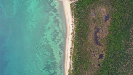Vista-De-Pájaro-Sobre-La-Playa-Vacía-En-Cozumel-Con-Aguas-Turquesas-Del-Mar-Caribe-A-La-Izquierda-Y-Vegetación-Arbórea-A-La-Derecha