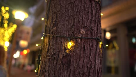 christmas-lights-strung-on-tree