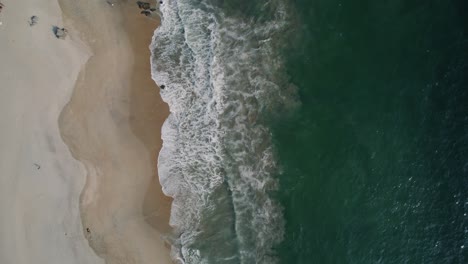 Top-down-rising-drone-shot-of-a-white-sand-beach-in-Mexico