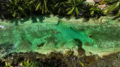 Aerial-view-above-people-floating-in-the-Bacalar-rapids,-in-sunny-Mexico---cenital,-drone-shot