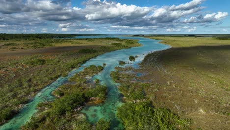 Exotic-vegetation-and-the-Rapidos-de-Bacalar,-in-sunny-Mexico---Aerial-view