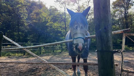 Horse-in-paddock-with-funny-comic-fly-protection-mask