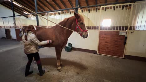 Indoor-stable-scene-of-little-child-girl-brushing-horse