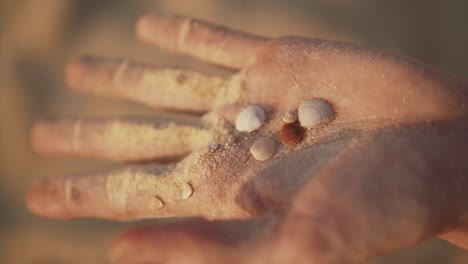 Eine-Weibliche-Hand-Mit-Sand,-Weißen-Und-Ziegelroten-Muscheln,-Die-Sich-Entfalten