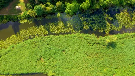 Top-down-view-on-exotic-winding-river-flows-through-green-wetlands