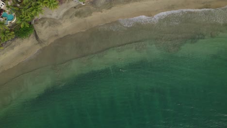 A-couple-enjoying-snorkelling-at-Black-Rock-beach-on-the-Caribbean-island-of-Tobago-drone-view