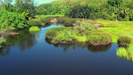 Drone-shot-of-spectacular-mangrove-in-the-southern-area-of-Mahe-island,-an-untouched-nature-and-prestige-place-to-do-kayaking-and-explore-this-amazing-nature