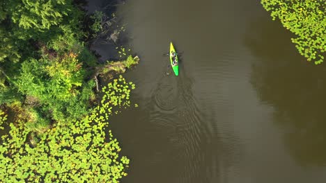 Aerial-view-of-tourists,-canoe-or-kayak-in-forests