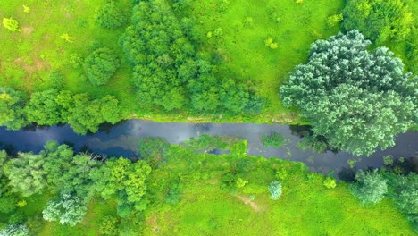 Top-down-view-on-exotic-winding-river-flows-through-green-wetlands