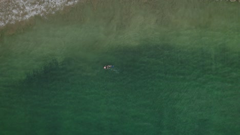 A-couple-holds-hands-while-snorkelling-on-a-Caribbean-beach-on-the-island-of-Tobago-aerial-descending-view