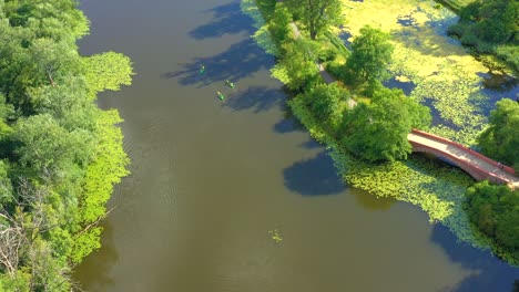 Aerial-view-of-tourists,-canoe-or-kayak-in-forests