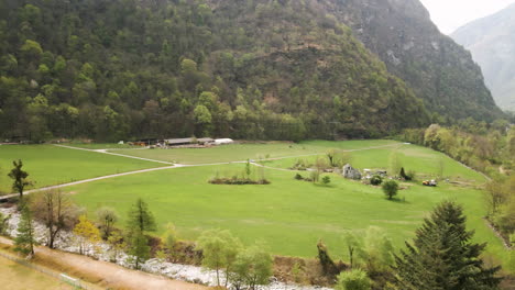 Paisaje-Verde-En-La-Ladera-De-La-Montaña-Con-Pinos-Densos-Durante-El-Día-Nublado-En-El-Cantón-Ticino,-Suiza