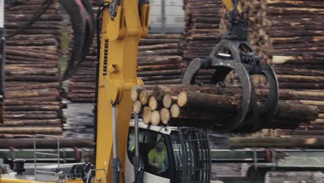 Heavy-work-machinery-loaders-at-the-sawmill,-stacking-tree-trunks-on-the-outdoor-area