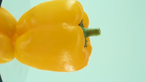 A-vertical-close-up-shot-of-a-sweet-yellow-pepper-on-a-reflecting-rotating-stand-360,-slow-motion,-4k