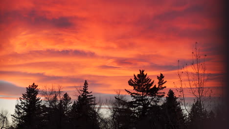 Bunter-Warmer-Sonnenaufgang-Oder-Sonnenuntergang-In-Der-Stadt-Im-Herbst-Im-Oktober-In-Calgary,-Alberta,-Kanada-Mit-Bäumen