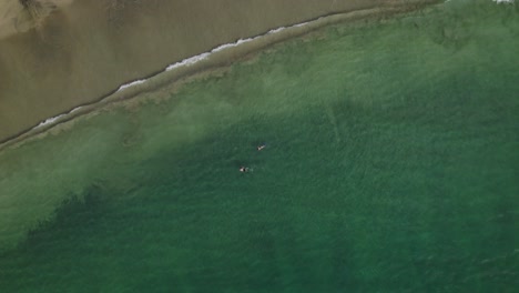 Amazing-aerial-view-of-a-couple-snorkelling-at-Black-rock-beach-Tobago-on-a-sunny-day