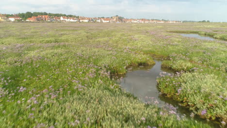 Low-Drone-Shot-Over-Salt-Marsh-with-Green-Grass-and-Purple-Flowers-and-Puddles-with-Wells-Next-The-Sea-Coastal-Town-in-the-Distance-North-Norfolk-UK-East-Coast