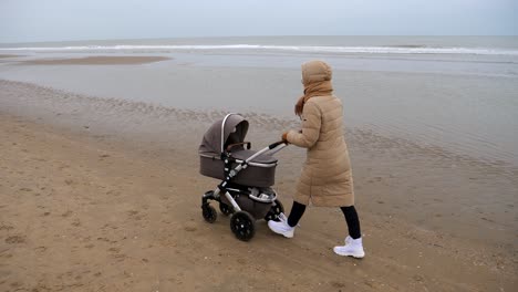 Woman-with-baby-buggy-walking-on-sandy-beach-at-sea-during-ebb-tide-on-dark-sky---slow-motion-tracking-shot