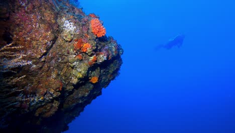 Punta-De-Arrecife-Colorido-Con-Buzo-En-El-Azul