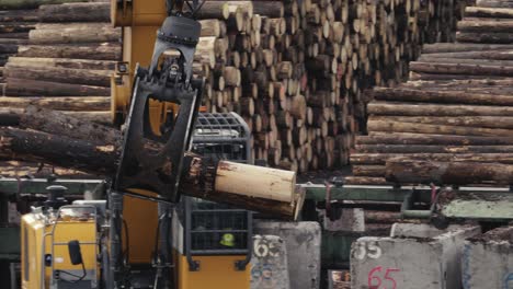 Close-up-of-swinging-logs-gripped-by-the-jaws-of-a-heavy-load-handling-machine