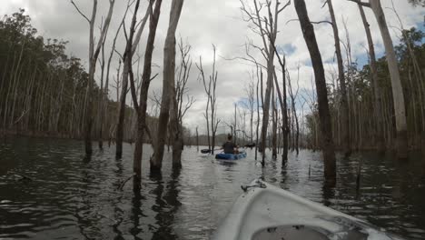 Hembra-En-Un-Kayak-Remando-A-Través-De-árboles-Muertos-En-Un-Bosque-Inundado