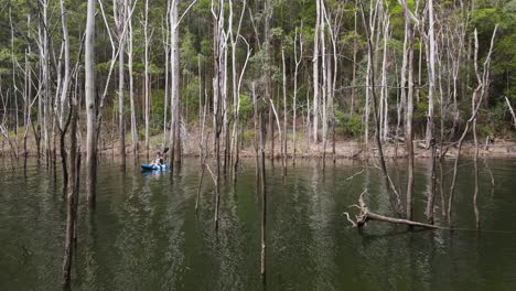 Female-in-a-kayak-paddling-between-dead-trees-in-a-flooded-forest