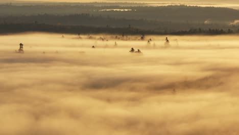 Dicke-Nebeldecke-Beleuchtet-über-Kiefern-Bei-Sonnenaufgang-Am-Morgen