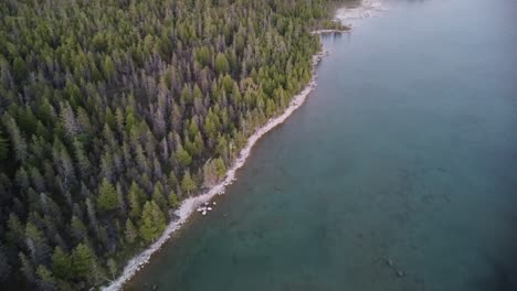Forested-Coastline-Aerial-at-Sunset