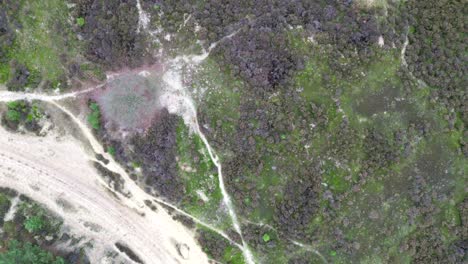 Luftaufnahmen-Von-Oben-Nach-Unten-Von-Heideland,-Abgeweidet-Von-Schafen,-Die-über-Einen-Wanderweg-Fliegen