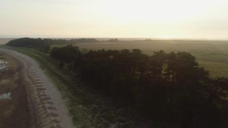 Drone-Shot-of-Line-of-Trees-on-Sandy-Beach-with-Salt-Marsh-Fields-Behind-at-Stunning-Sunrise-in-Wells-Next-The-Sea-North-Norfolk-UK-East-Coast