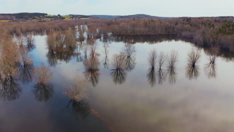 Cinematic-aerial-view-of-trees-under-water-during-spring-flooding