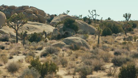 A-wide-shot-of-californian-desert