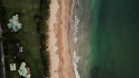 Ein-Blick-Aus-Der-Vogelperspektive-Auf-Die-Wellen,-Die-In-Den-Strand-Von-Hawaii-Schlagen