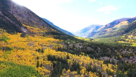 Colorido-Colorado-Y-Los-Colores-Cambiantes-De-Los-árboles-Durante-La-Temporada-De-Otoño