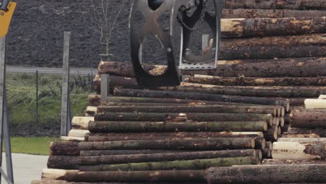 Log-loader-moves-stack-of-pine-logs