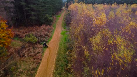 Aerial-shot-of-biker-riding-bike-in-the-forest-pathway-in-the-middle-of-the-Thetford-forest