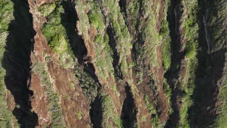 Hawaii-Kai-Ridge-Koko-Head-Drone-Luftschwenk-Offen,-Um-Blick-Auf-Hawaii-Kai-Nachbarschaft-Oahu-Hawaii-Zu-Sehen
