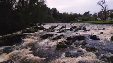 One-of-the-best-fishing-rivers-in-Co-Antrim-flowing-from-the-Glens-of-Antrim-Hills-The-brown-water-colours-pick-up-iron-and-soil-colours-and-is-a-spawning-river-for-Dollaghan-Trout-a-native-species