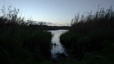 Sunrise-Timelapse-of-lake-with-reeds