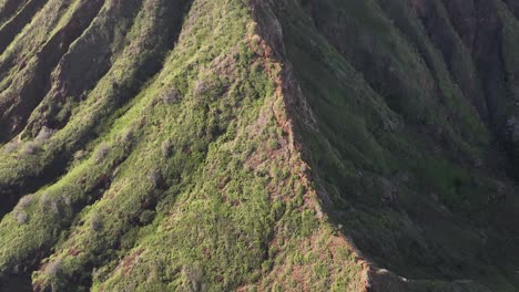 60fps-drone-aerial-koko-head-mountain-hike-oahu-hawaii-panning-up-on-ridge-and-showing-view-of-hawaii-kai-neighborhoods-midday-lots-of-sunlight