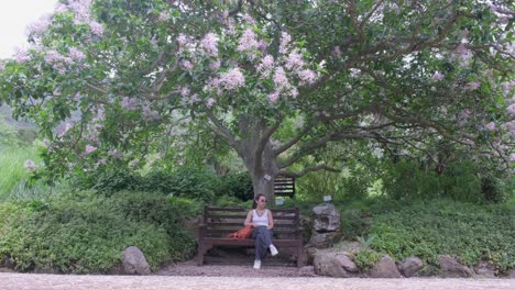 Mädchen-Sitzt-Auf-Der-Bank-Unter-Einem-Großen-Baum-Mit-Fallenden-Violetten-Blüten-Im-Botanischen-Garten-Kirstenbosch