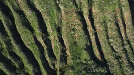 60-Fps-Koko-Head-Crater-Video-Aéreo-De-Drones-Panoramización-Revelando-Hawaii-Kai-Oahu-Hawaii