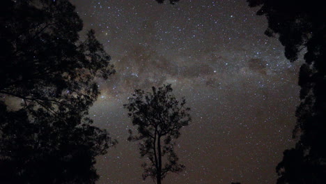 Australia-Hermosa-Impresionante-Vía-Láctea-Cruz-Del-Sur-Noche-Estrella-Senderos-7-Timelapse-Por-Taylor-Brant-Película
