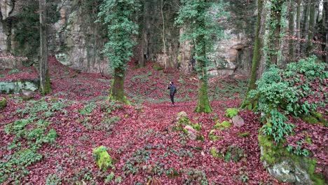 Man-drinking-coffee-at-hiking-trail-of-Mullerthal-in-Luxembourg-late-fall---ascending-drone-reveal