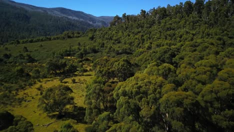 Thredbo-Montañas-Nevadas-Australia-Drone-Por-Taylor-Brant-Película